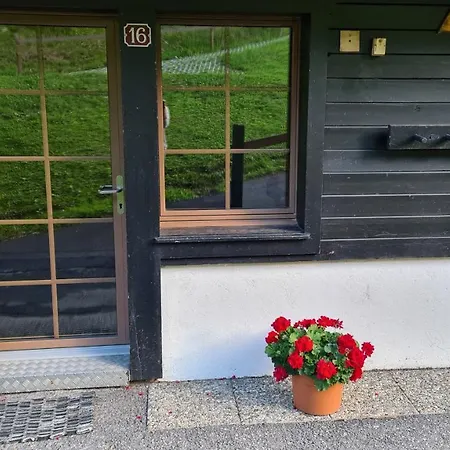 Διαμέρισμα Edelweiss 6 *